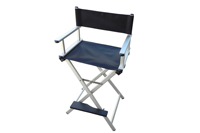 Director Chair